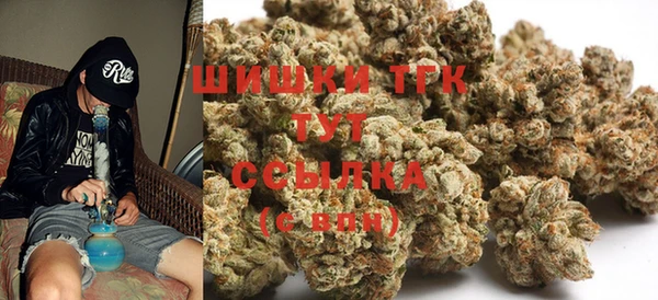 твердый Богородицк