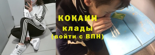 твердый Богородицк