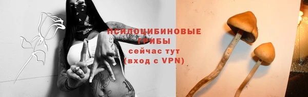 твердый Богородицк