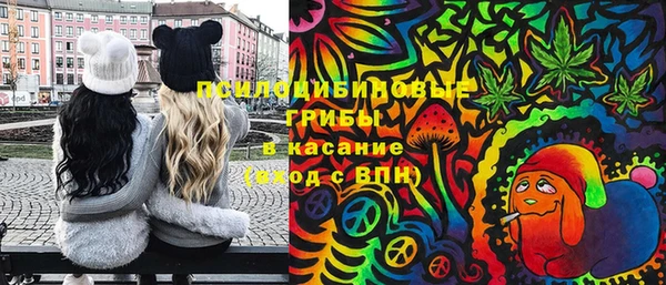 твердый Богородицк