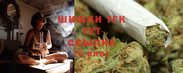 твердый Богородицк