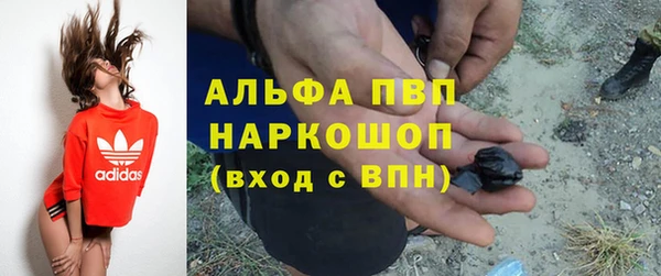 эйфоретик Богородск