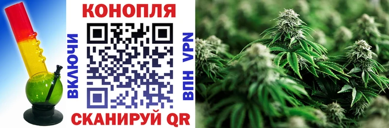 Каннабис ГИДРОПОН  Купить где  Нерехта 